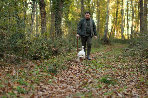 Il Bego truffle foraging and tasting experience in San Miniato Tuscany