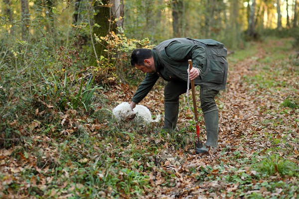 Il Bego truffle foraging and tasting experience in San Miniato Tuscany