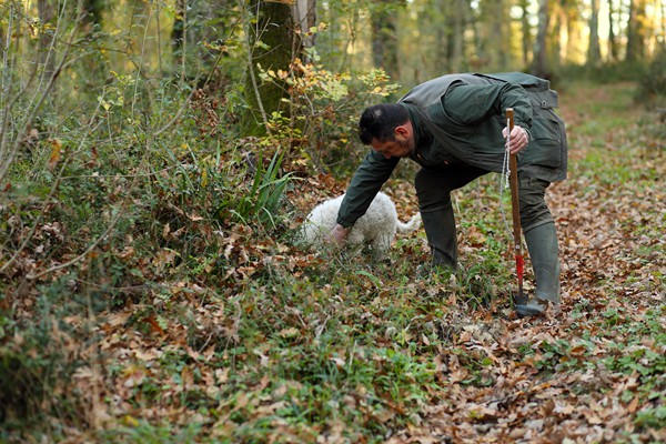 Il Bego truffle foraging and tasting experience in San Miniato Tuscany