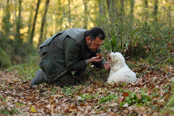Il Bego truffle foraging and tasting experience in San Miniato Tuscany