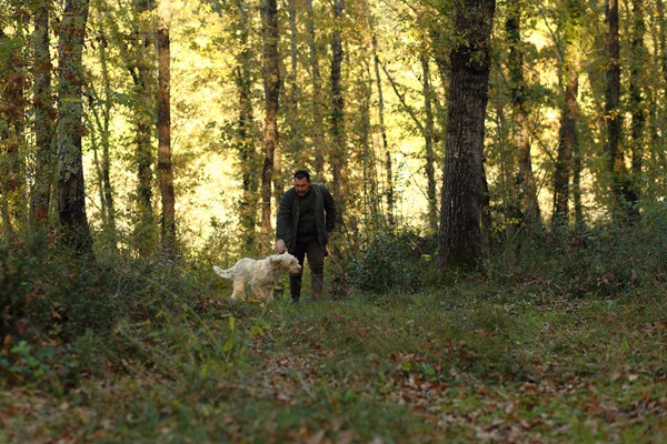 Il Bego truffle foraging and tasting experience in San Miniato Tuscany
