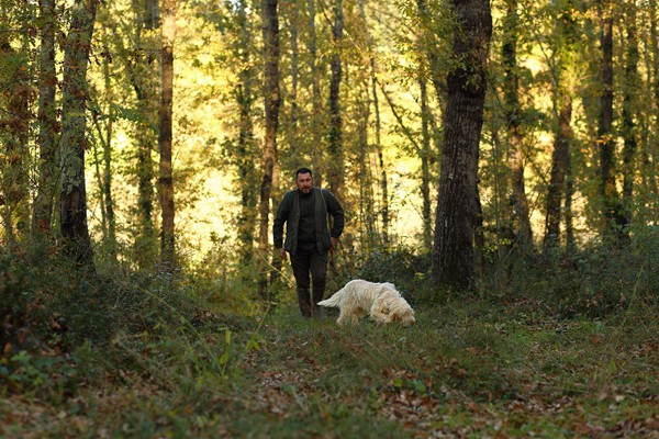Il Bego truffle foraging and tasting experience in San Miniato Tuscany