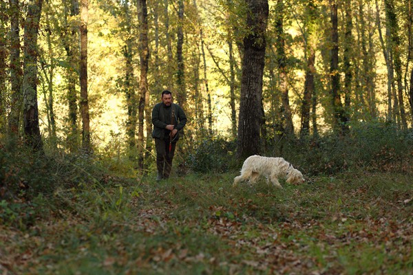 Il Bego truffle foraging and tasting experience in San Miniato Tuscany