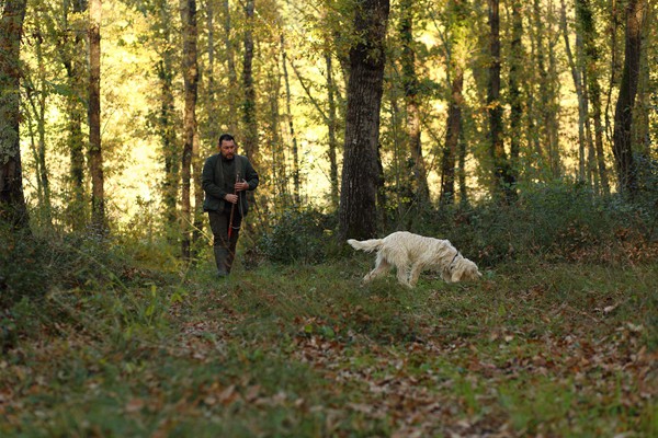Il Bego truffle foraging and tasting experience in San Miniato Tuscany