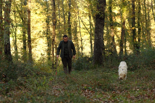 Il Bego truffle foraging and tasting experience in San Miniato Tuscany
