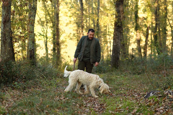 Il Bego truffle foraging and tasting experience in San Miniato Tuscany