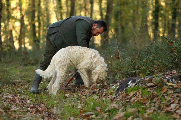 Il Bego truffle foraging and tasting experience in San Miniato Tuscany