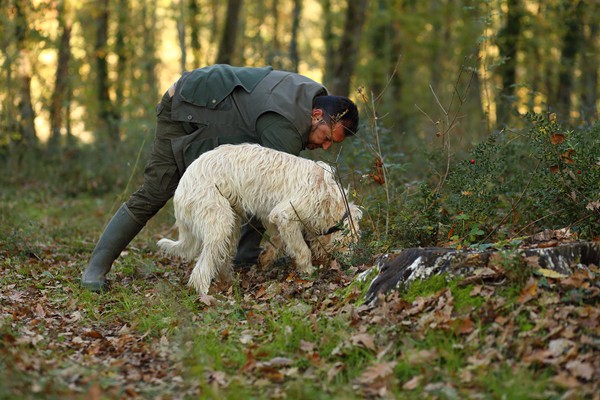 Il Bego truffle foraging and tasting experience in San Miniato Tuscany