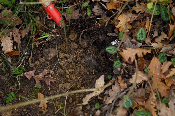 Il Bego truffle foraging and tasting experience in San Miniato Tuscany