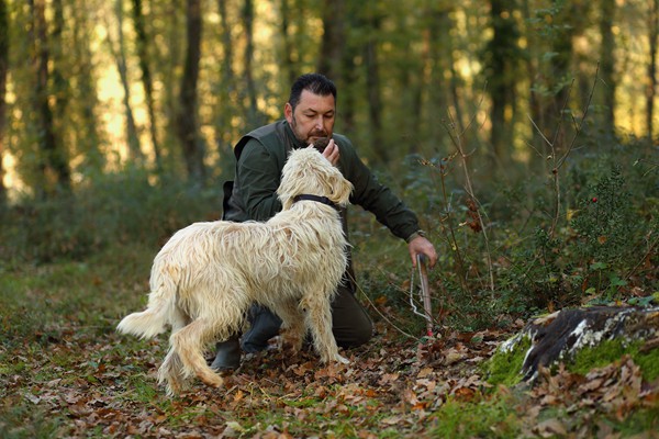 Il Bego truffle foraging and tasting experience in San Miniato Tuscany