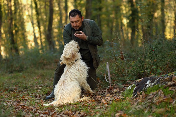 Il Bego truffle foraging and tasting experience in San Miniato Tuscany