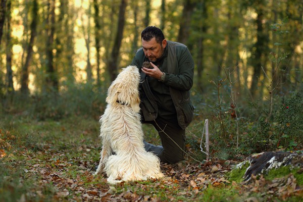 Il Bego truffle foraging and tasting experience in San Miniato Tuscany