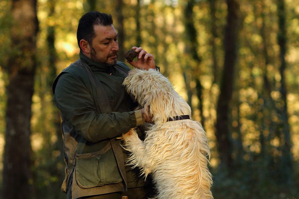 Il Bego truffle foraging and tasting experience in San Miniato Tuscany