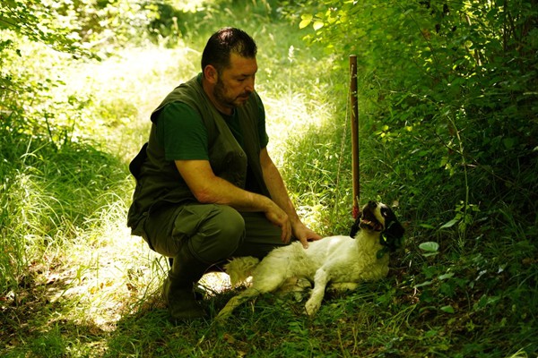 Il Bego truffle foraging and tasting experience in San Miniato Tuscany