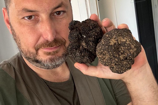 Il Bego truffle foraging and tasting experience in San Miniato Tuscany