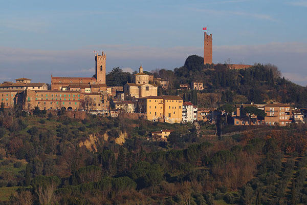 Il Bego truffle hunter San Miniato Tuscany Italy