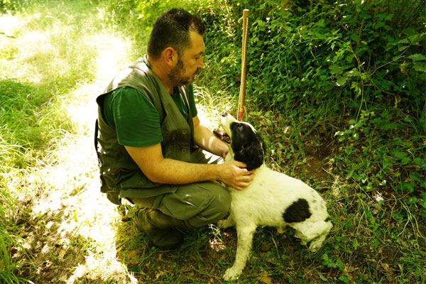 Il Bego truffle hunter in Tuscany experience 1